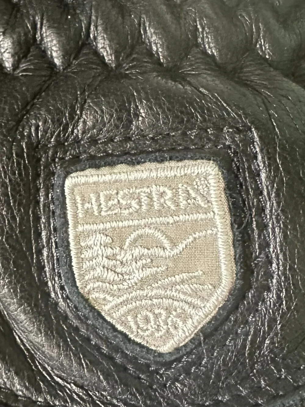 NWT Hestra Women’s Alpine Pro Fall Line Mittens, size 6. Model 30211.
